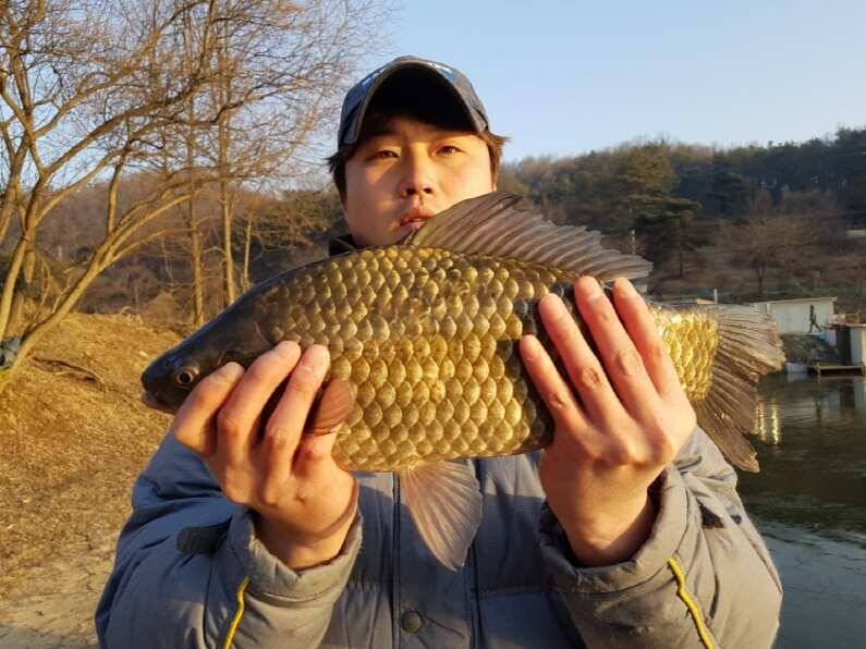 안성회암낚시터 주말조황 입니다 (유료터정보 - 유료터점주조황)