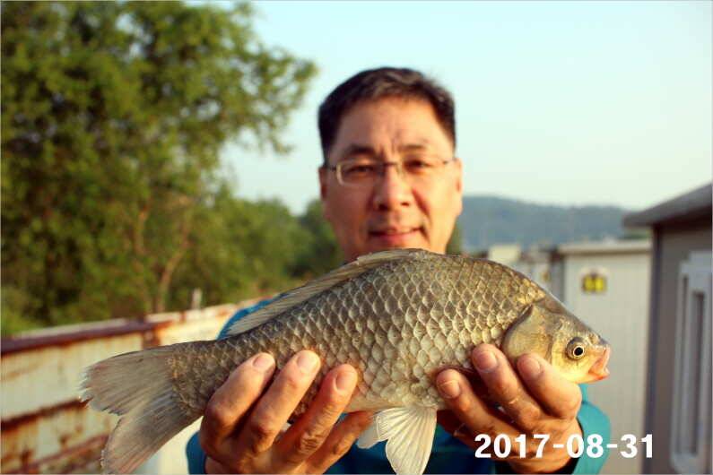 4짜 500번째 조사님을 찾습니다 (유료터정보 - 유료터점주조황)