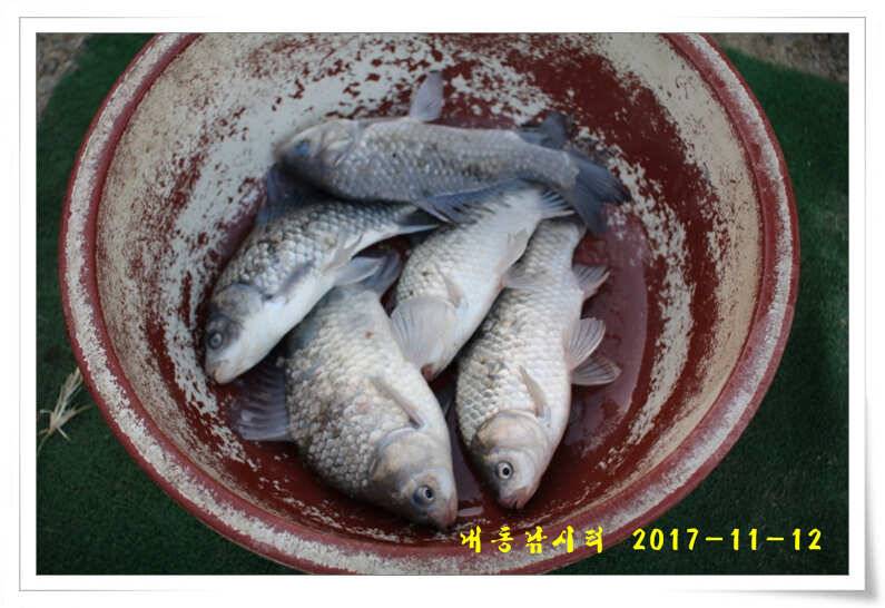 4짜 600번째 조사님을 찾습니다 (유료터정보 - 유료터점주조황)