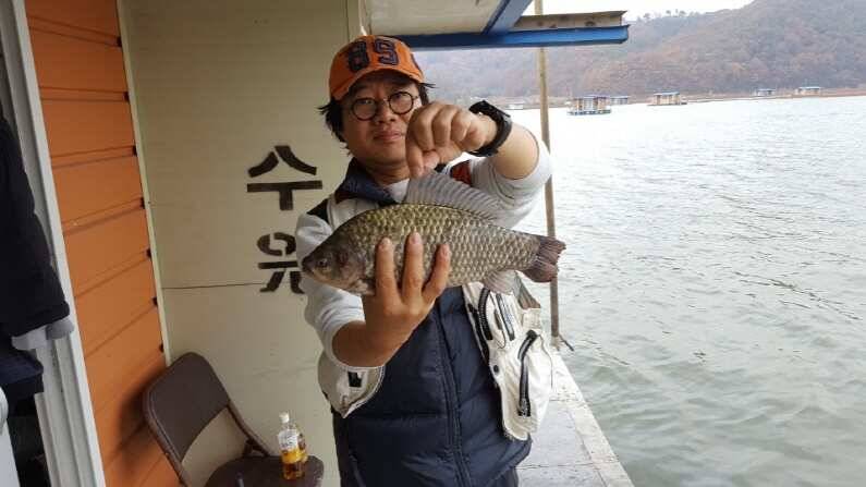 가을 송전지 붕어 수원좌대 (유료터정보 - 유료터점주조황)