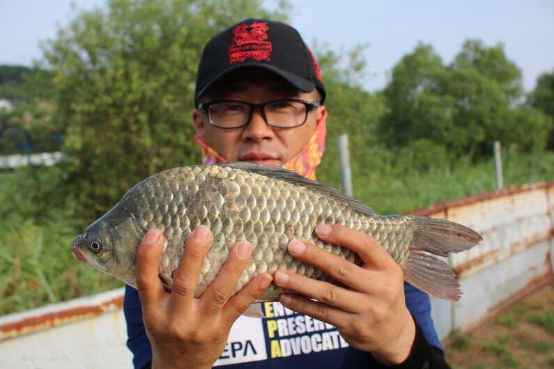 fish_pay_9c01a_110155_85166.jpg