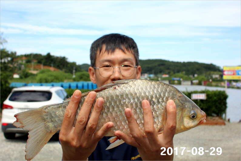 4짜 500마리 조사님을 찾습니다 (유료터정보 - 유료터점주조황)