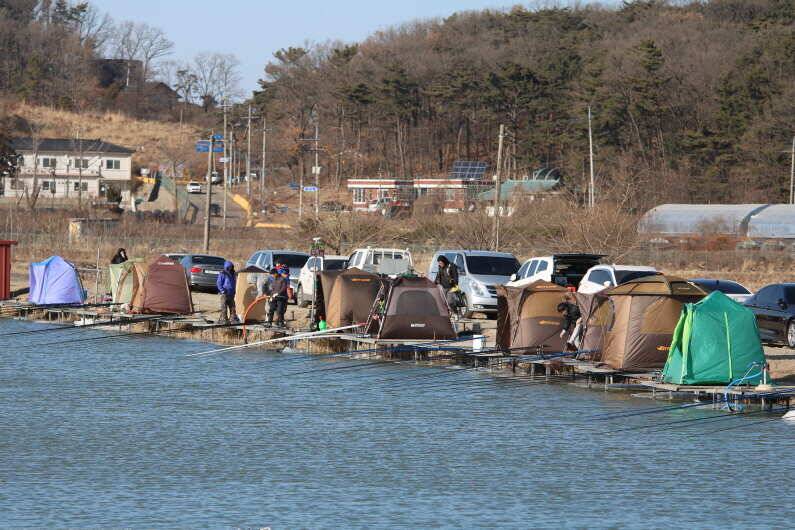 내동지 전체 물낚시 가능합니다 (유료터정보 - 유료터점주조황)