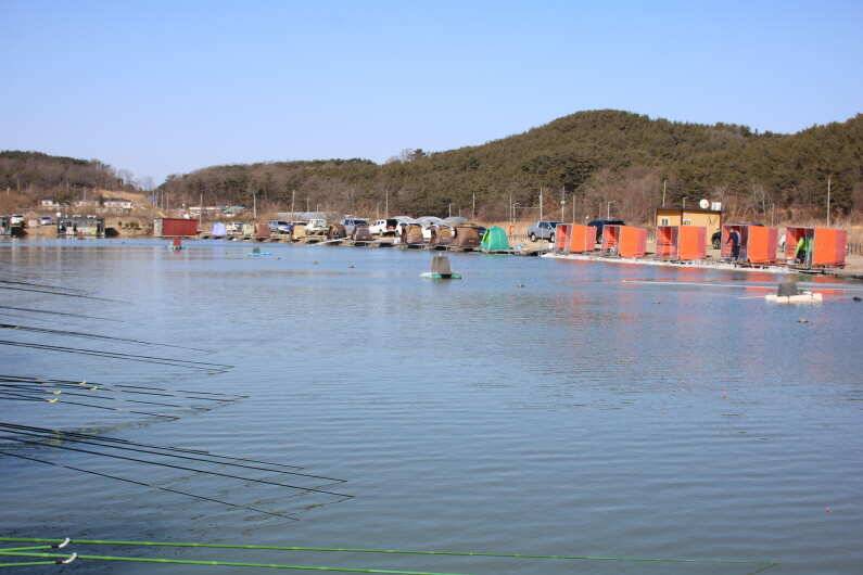 내동지 전체 물낚시 가능합니다 (유료터정보 - 유료터점주조황)