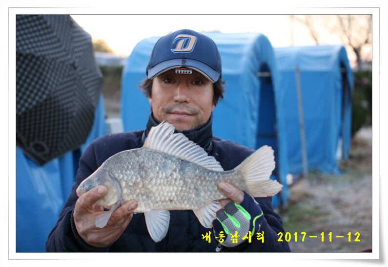 4짜 600번째 조사님을 찾습니다 (유료터정보 - 유료터점주조황)