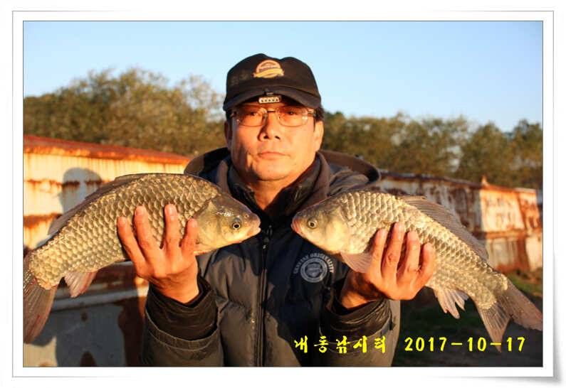 방류 또 방류 (유료터정보 - 유료터점주조황)
