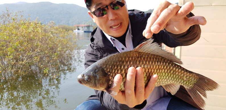39cm 대물붕어 송전지 수원좌대 (유료터정보 - 유료터점주조황)