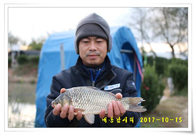 방류 또 방류 (유료터정보 - 유료터점주조황)