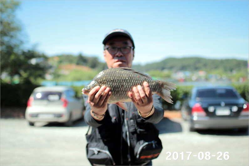 4짜 500마리 조사님을 찾습니다 (유료터정보 - 유료터점주조황)