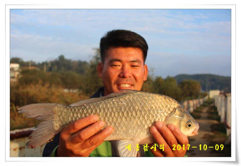 낚시의 계절 (유료터정보 - 유료터점주조황)