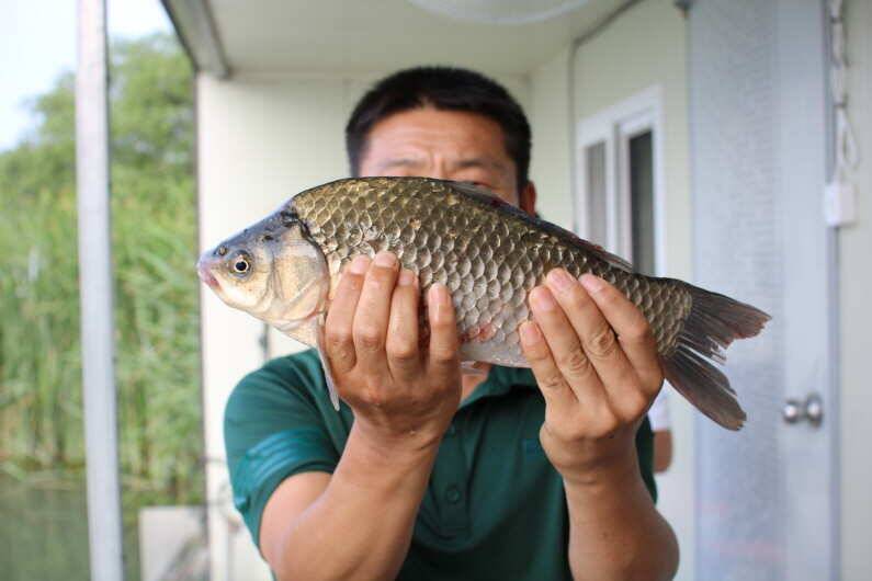 fish_pay_ab9f8_110203_81687.jpg