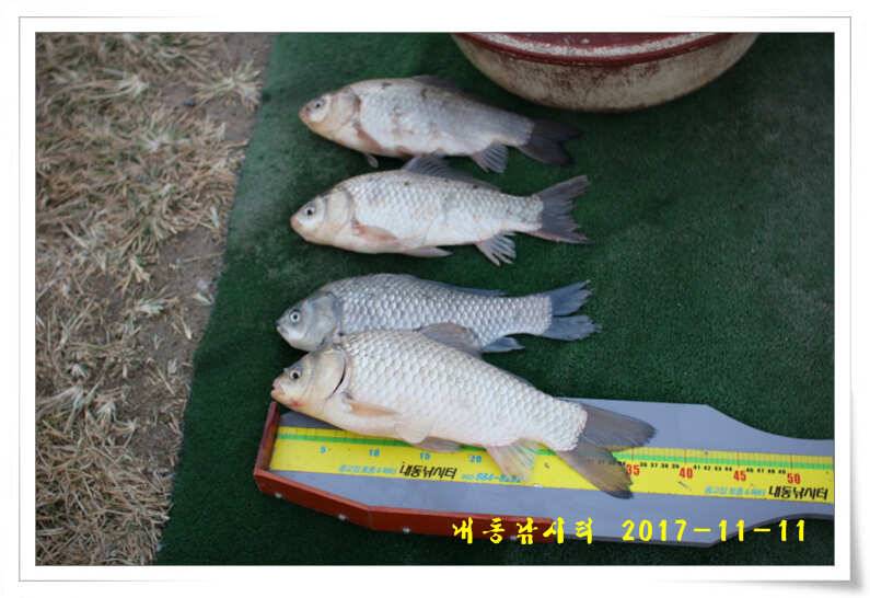 4짜 600번째 조사님을 찾습니다 (유료터정보 - 유료터점주조황)