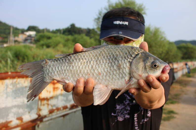 fish_pay_acd9e_110139_59621.jpg