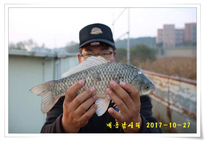 조황과 월동준비 (유료터정보 - 유료터점주조황)