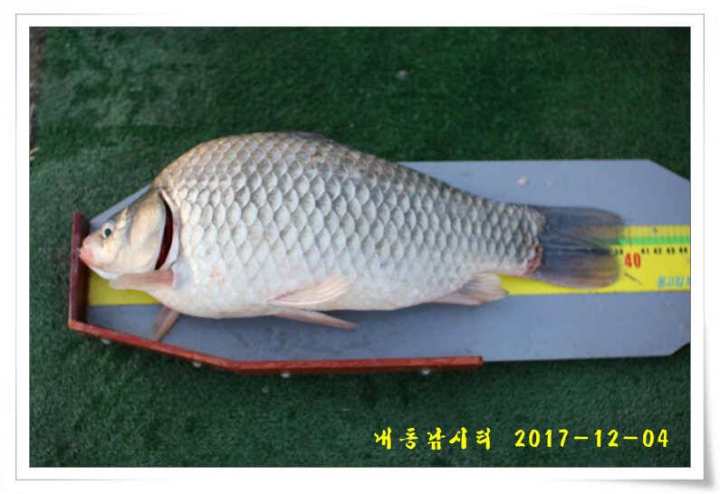 따뜻한 겨울 물낚시 (유료터정보 - 유료터점주조황)