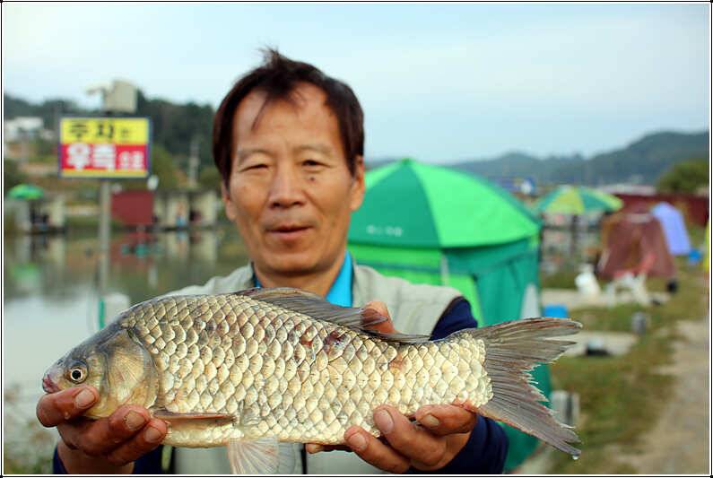 추 석 선 물 (유료터정보 - 유료터점주조황)