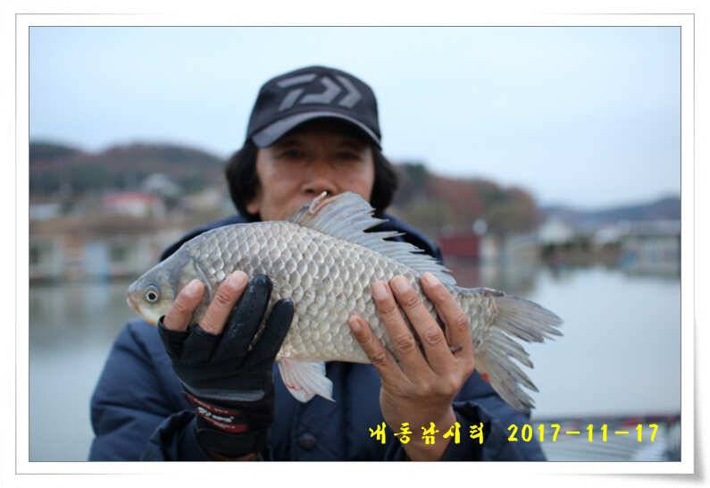 토종 4짜들 입질이 빈번합니다 (유료터정보 - 유료터점주조황)