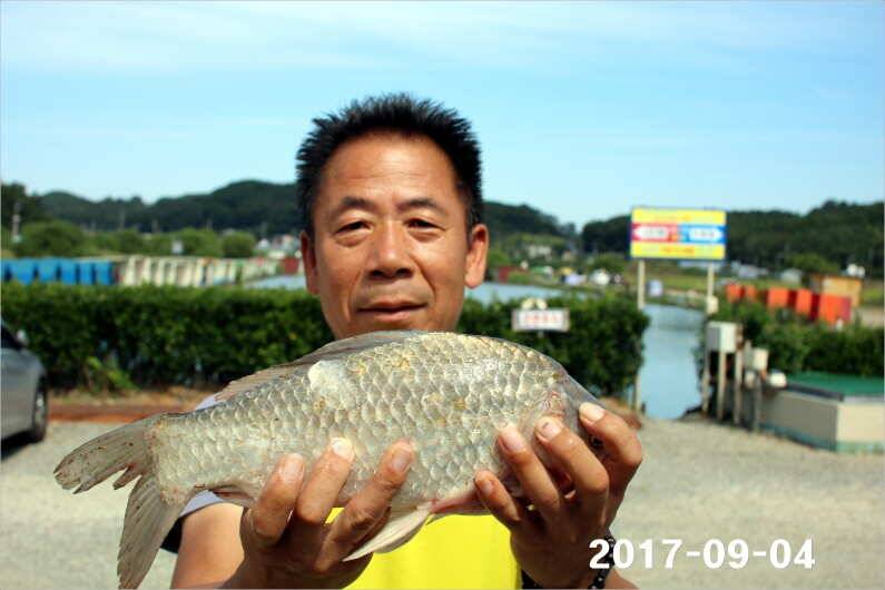 주간 이벤트 주인공 (유료터정보 - 유료터점주조황)