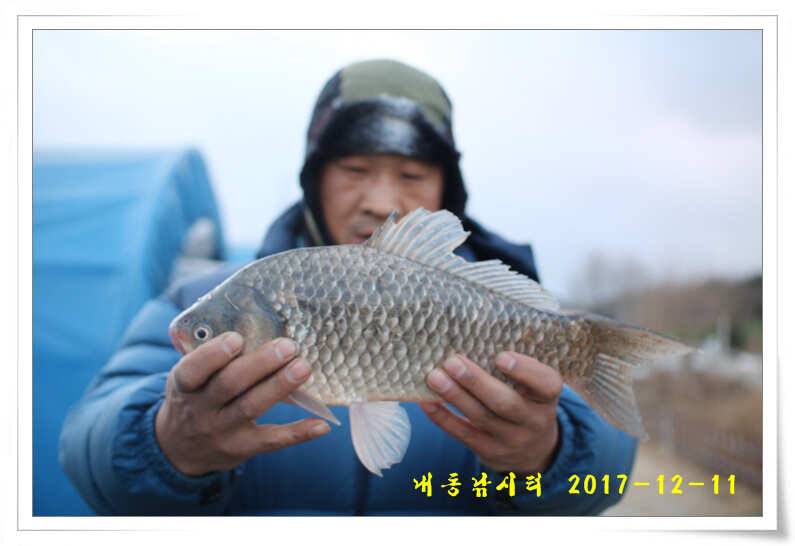 따뜻한 겨울 물낚시 (유료터정보 - 유료터점주조황)
