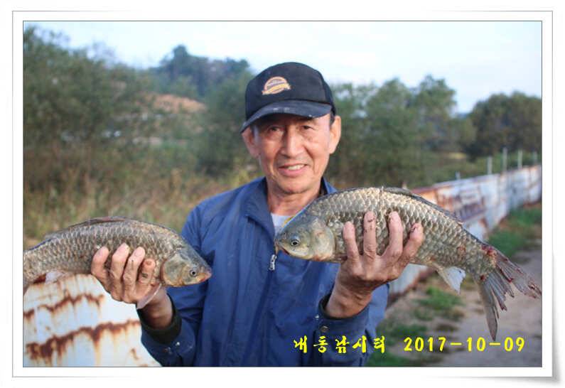 낚시의 계절 (유료터정보 - 유료터점주조황)