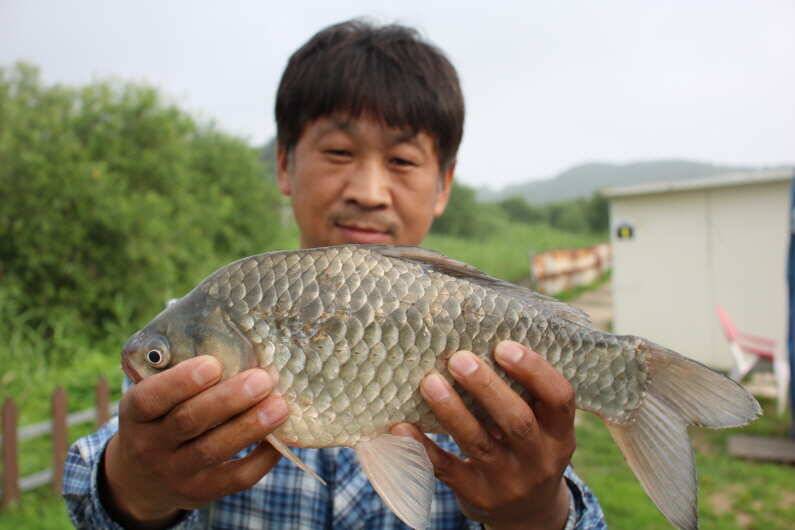 이벤트 공지 올립니다 (유료터정보 - 유료터점주조황)