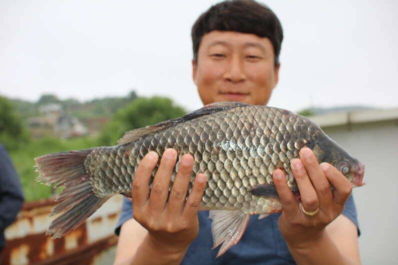 토종 4짜 500번째 주인공을 찾습니다 (유료터정보 - 유료터점주조황)