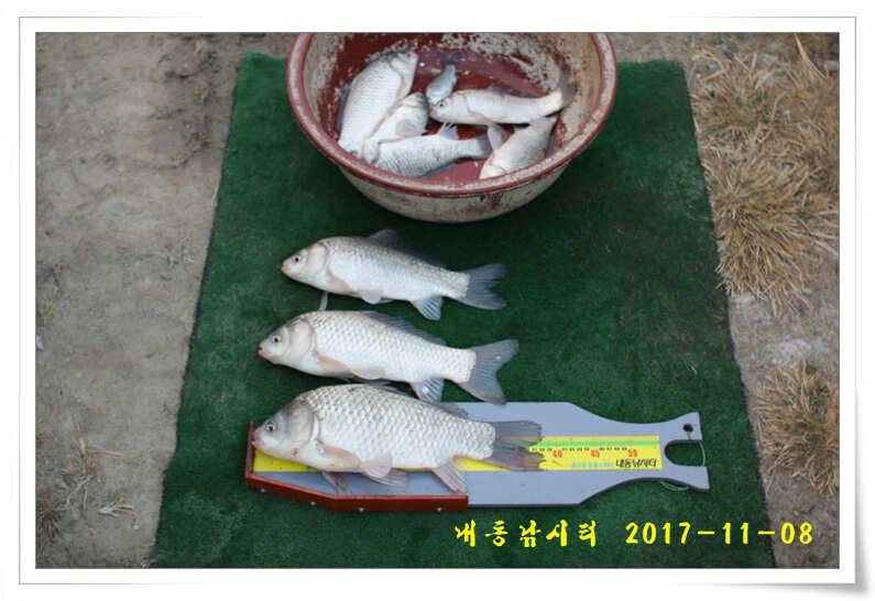 대물조황 (유료터정보 - 유료터점주조황)