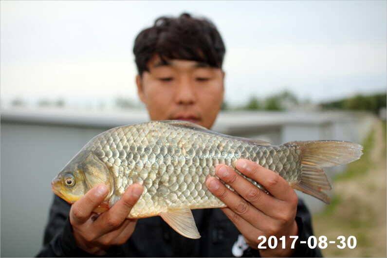 4짜 500번째 조사님을 찾습니다 (유료터정보 - 유료터점주조황)