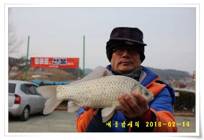 동절기 토종 4짜 (유료터정보 - 유료터점주조황)
