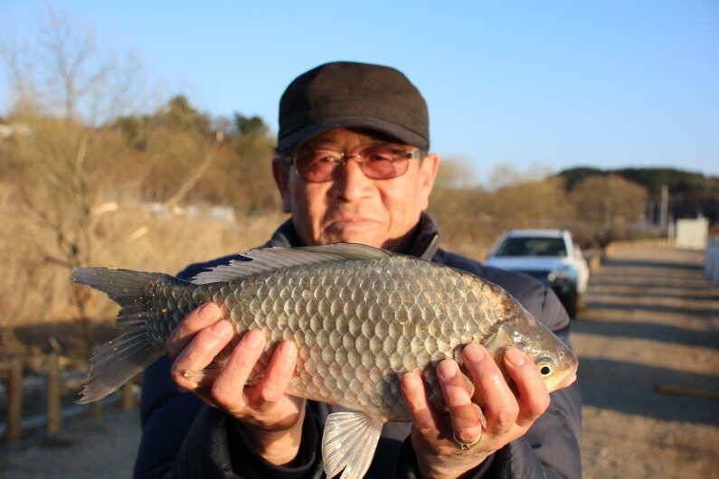 fish_pay_bcced_093644_58463.jpg