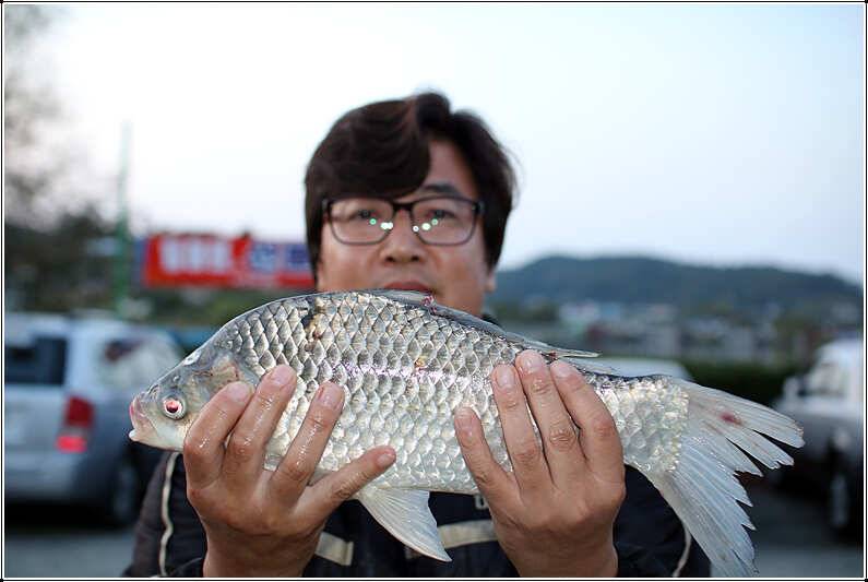 추 석 선 물 (유료터정보 - 유료터점주조황)