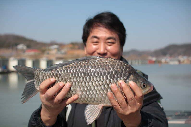 준설 중 4짜 5마리 (유료터정보 - 유료터점주조황)