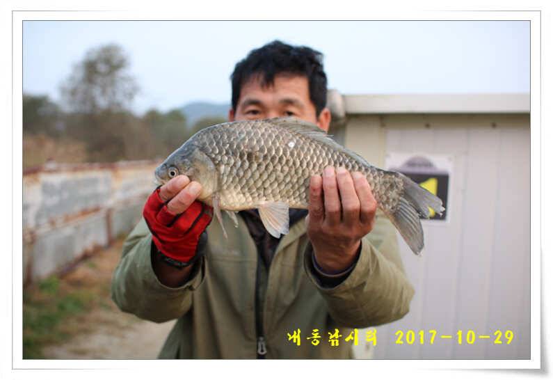 조황과 월동준비 (유료터정보 - 유료터점주조황)