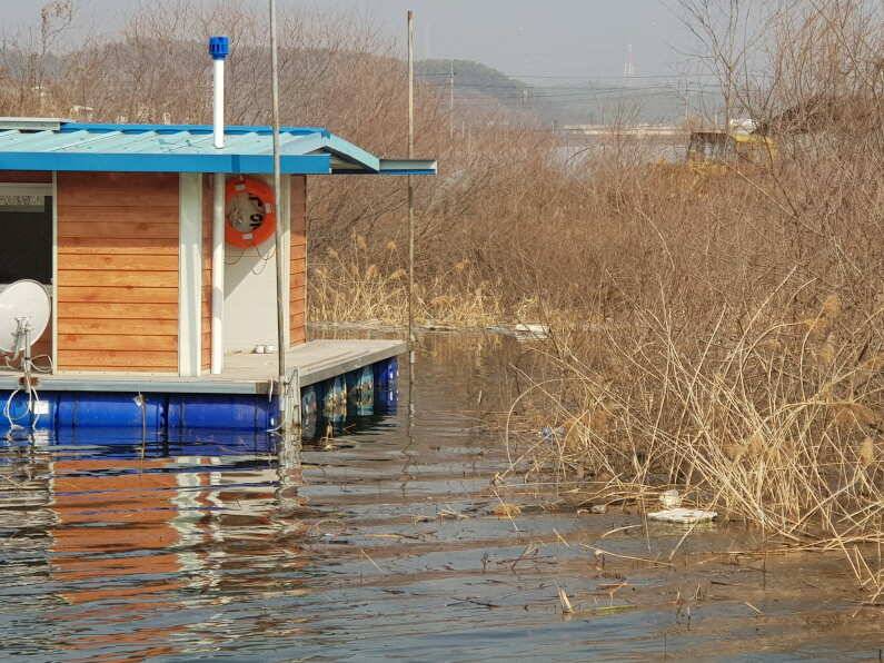 2019년 허리급으로 시작 송전지 수원좌대 (유료터정보 - 유료터점주조황)