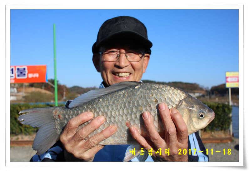 토종 4짜들 입질이 빈번합니다 (유료터정보 - 유료터점주조황)