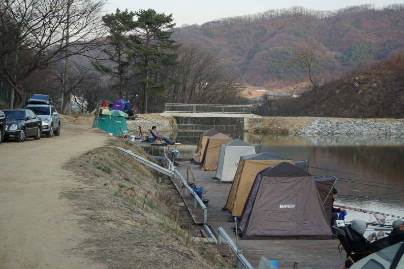 안성 회암낚시터 조황 입니다 (유료터정보 - 유료터점주조황)