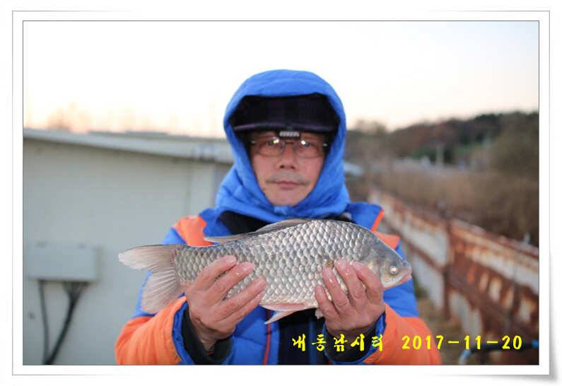 토종 4짜들 입질이 빈번합니다 (유료터정보 - 유료터점주조황)