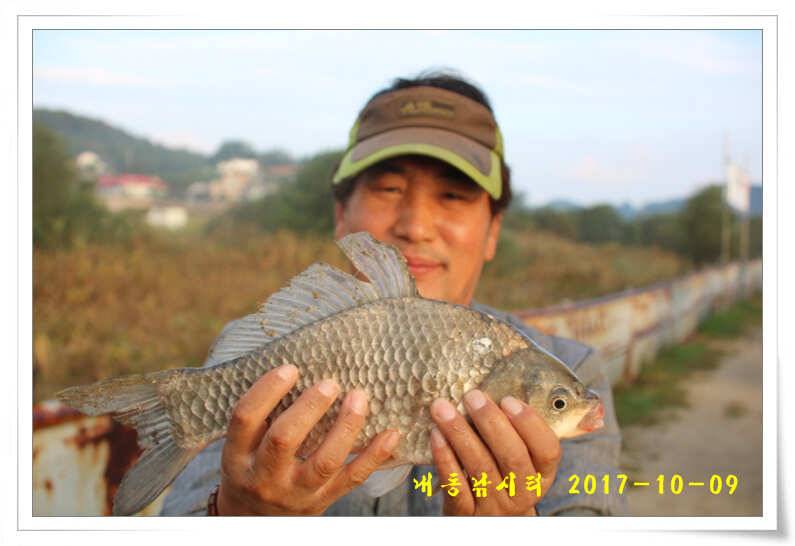 낚시의 계절 (유료터정보 - 유료터점주조황)