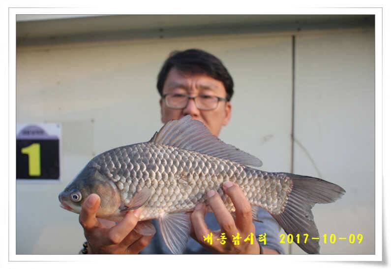 낚시의 계절 (유료터정보 - 유료터점주조황)