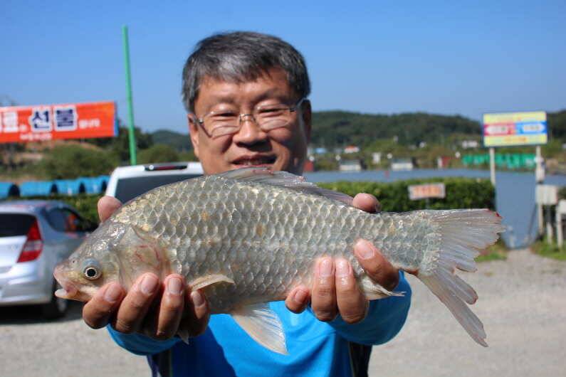 마릿수 조항 (유료터정보 - 유료터점주조황)