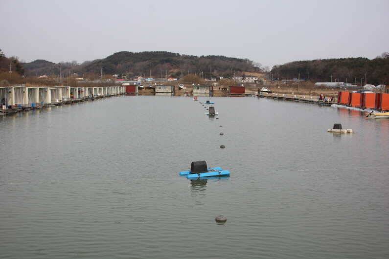 내동지 전체 물낚시 가능합니다 (유료터정보 - 유료터점주조황)