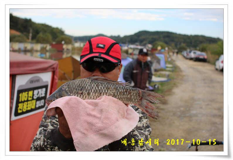 방류 또 방류 (유료터정보 - 유료터점주조황)