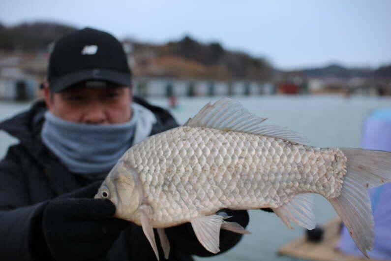 fish_pay_ce31c_014934_15941.jpg