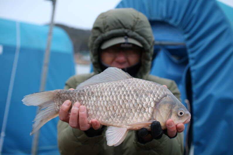 fish_pay_d0207_014903_22009.jpg