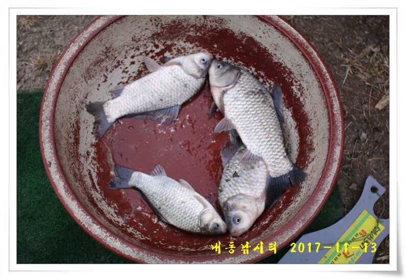 4짜 600번째 조사님을 찾습니다 (유료터정보 - 유료터점주조황)