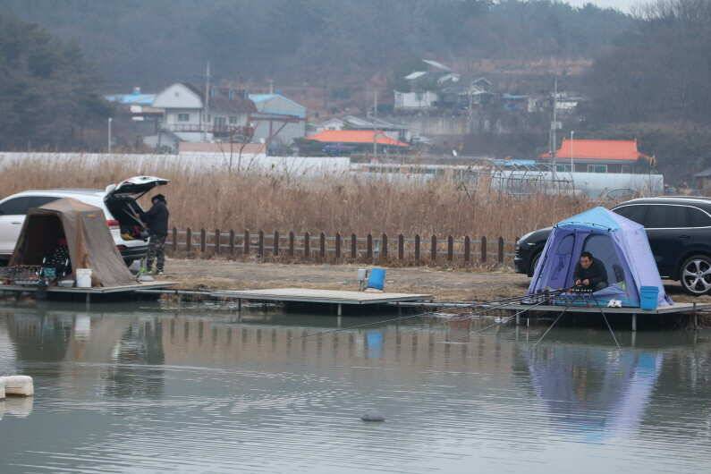 내동지 전체 물낚시 가능 (유료터정보 - 유료터점주조황)