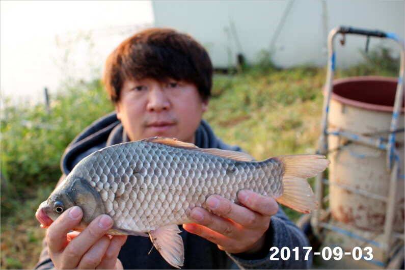 주간 이벤트 주인공 (유료터정보 - 유료터점주조황)