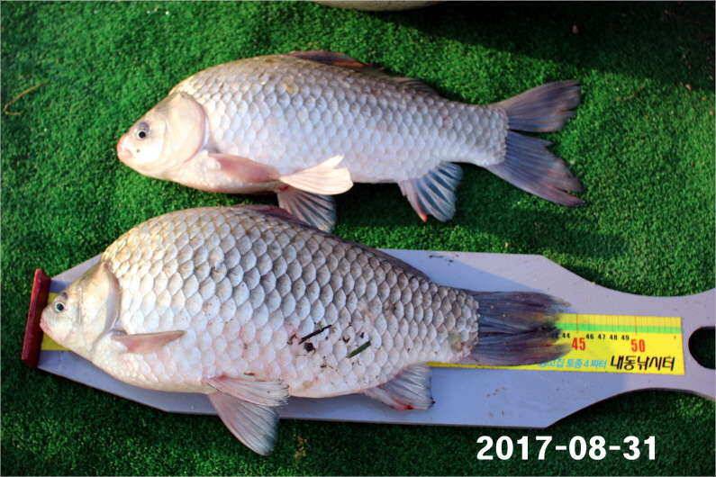 4짜 500번째 조사님을 찾습니다 (유료터정보 - 유료터점주조황)