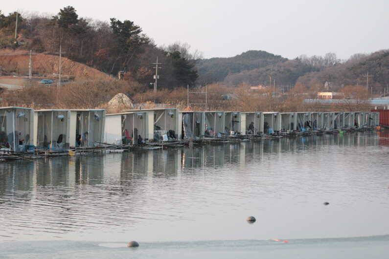 내동지 전체 물낚시 가능합니다 (유료터정보 - 유료터점주조황)
