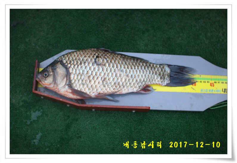 따뜻한 겨울 물낚시 (유료터정보 - 유료터점주조황)